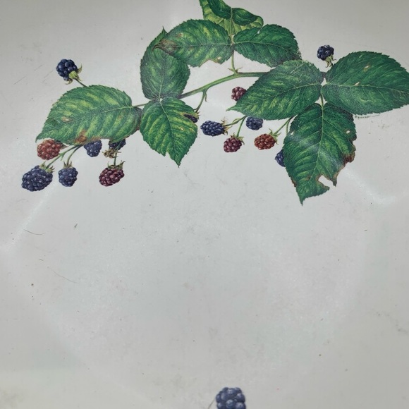 HAEGER VTG serving bowl w/blueberry painting. Sweet blueberry on outside… - Picture 8 of 9